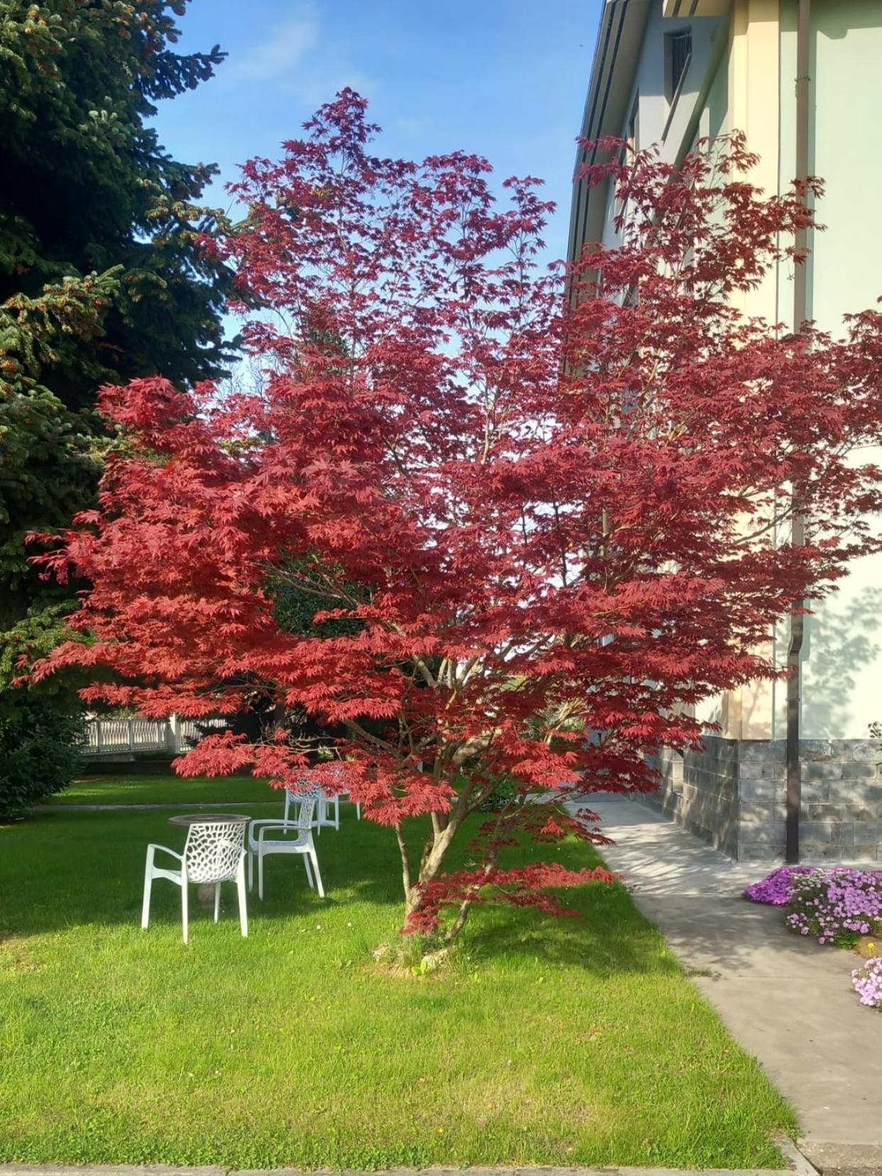 B&B Il Castagno Roccavione Exterior photo